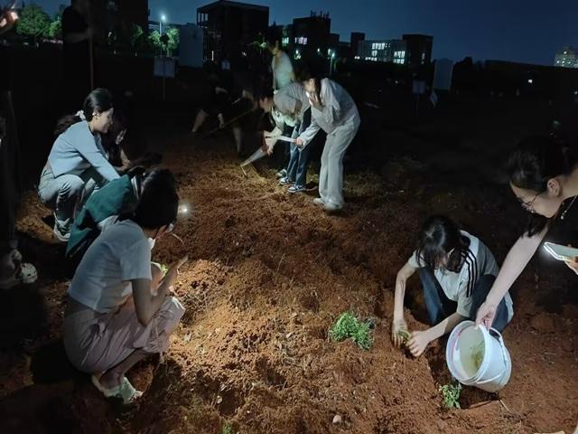 明陞m88官方网站